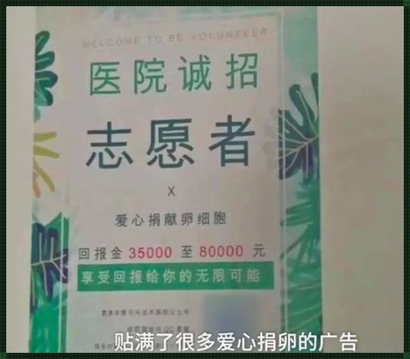 探索捐赠卵子的流程及其社会意义——一个充满仁爱与奉献的实践篇