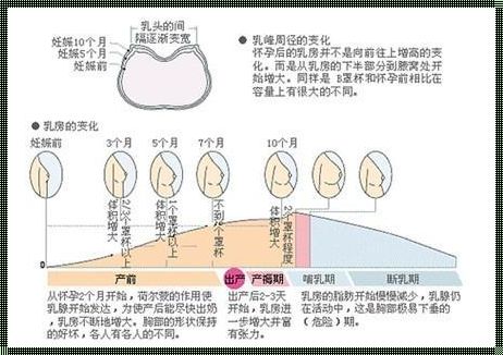 怀孕多久乳房有变化：探寻孕期身体奥秘